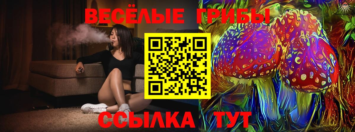 Псилоцибиновые грибы Psilocybe  Вход с VPN  Нижнекамск 